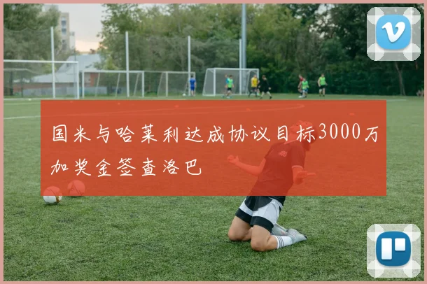 国米与哈莱利达成协议目标3000万加奖金签查洛巴