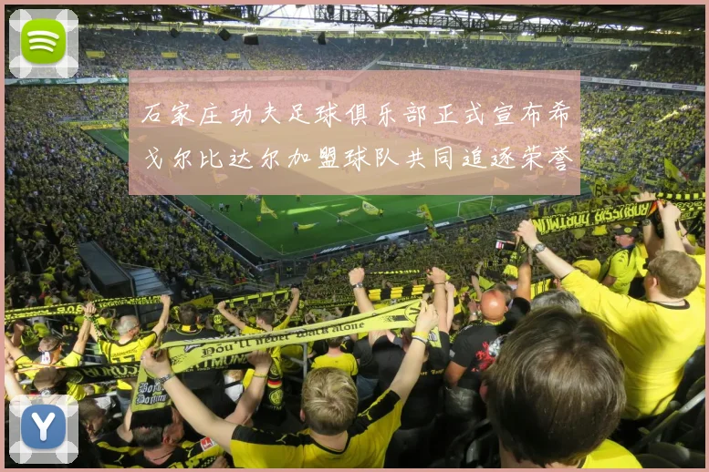 石家庄功夫足球俱乐部正式宣布希戈尔比达尔加盟球队共同追逐荣誉