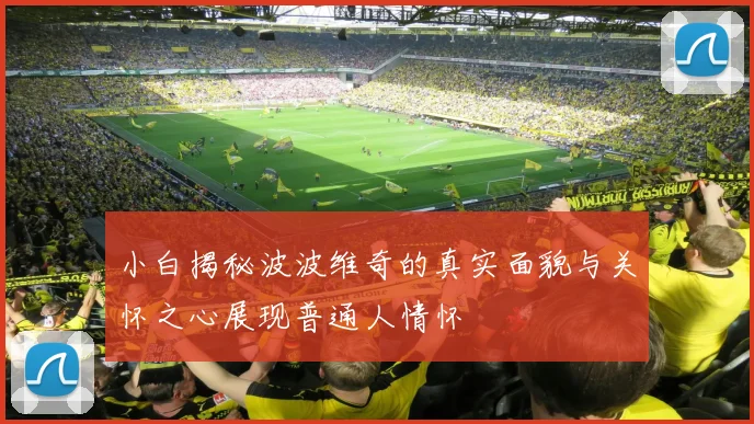 小白揭秘波波维奇的真实面貌与关怀之心展现普通人情怀